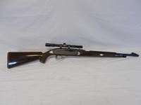 Remington Nylon 66 22LR