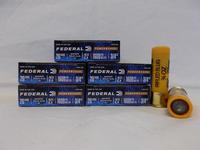 Federal 20ga 2.75in Rifled Slug